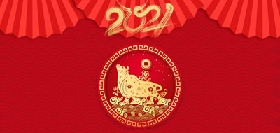 數字廣東網絡建設有限公司2021年(nián)春節放(fàng)假安排